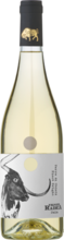 Pinot Grigio Terre di Chieti IGT